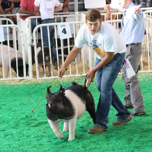 Meet your Posher, Mitchell - Picture 1 of 1